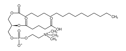 1-PALMITOYL-2-(4-CARBOXYBUTANOYL)-SN-GLYCERO-3-PHOSPHATIDYLCHOLINE