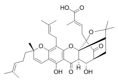 9R-10alpha-羥基表藤黃酸