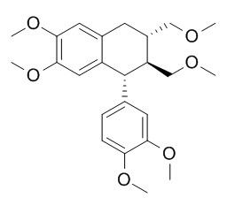 葉下珠新素