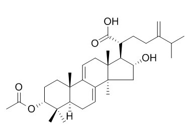 3-表去氫茯苓酸