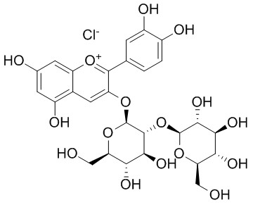 氯化矢車菊素-3-O-槐糖苷