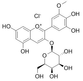 氯化矮牽牛素-3-O-半乳糖苷