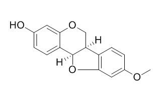 美迪紫檀素