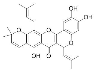 异叶波罗蜜环黄酮素