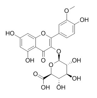 異鼠李素-3-葡萄糖醛酸苷