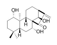 尾叶香茶菜戊素