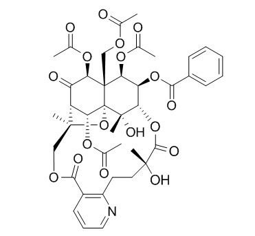 鬼箭羽堿，葉含衛(wèi)矛堿