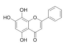 去甲漢黃芩素