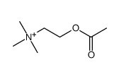 乙酰胆碱