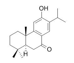 柳杉酚； 10-脫氧代黃檜醇