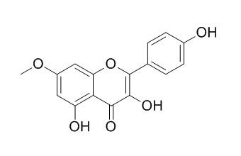 Rhamnocitrin