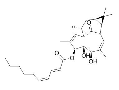 3-O-(2'E,4'Z-癸二烯酰基)-20-去氧巨大戟萜醇