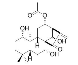 香茶菜乙素