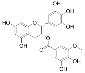 表没食子儿茶素3-O-(3''-O-甲基)没食子酸酯