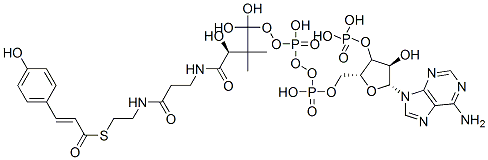 对香豆酰辅酶A