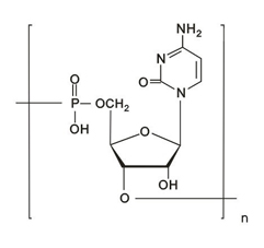聚胞苷酸