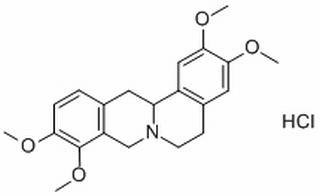 延胡索乙素