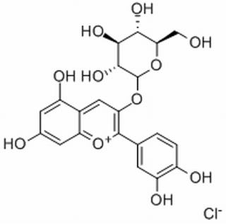 矢车菊素-3-O-葡萄糖苷