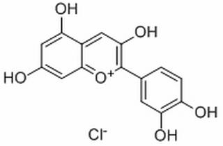 氯化矢车菊素