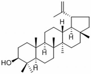 羽扇豆醇