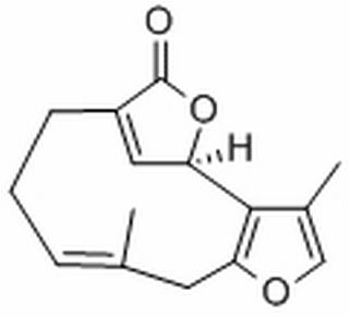 钓樟内酯