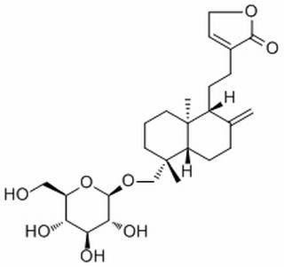 新穿心莲内酯