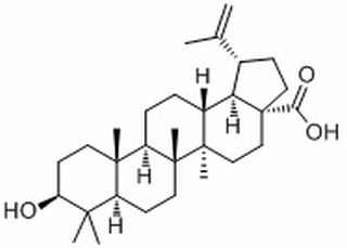 表白桦脂酸