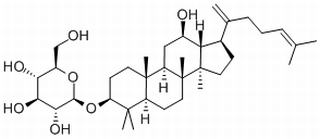 人参皂苷Rk2