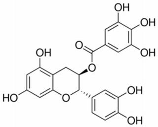 儿茶素没食子酸