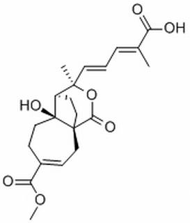 土荆皮丙酸