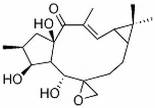 环氧续随子醇