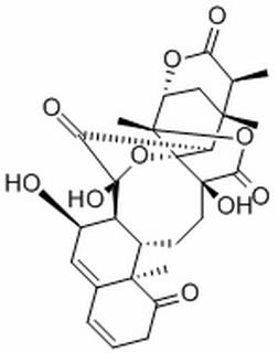 酸漿苦味素L