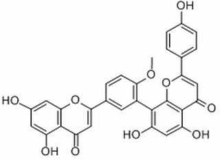 白果双黄酮