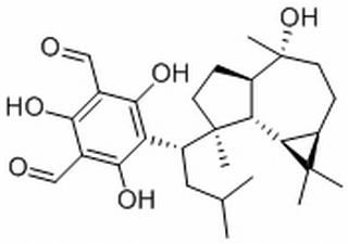 大果桉醛B