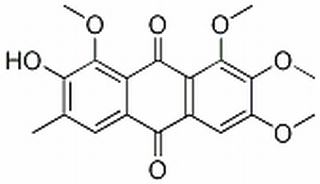 黃決明素