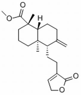 红松内酯