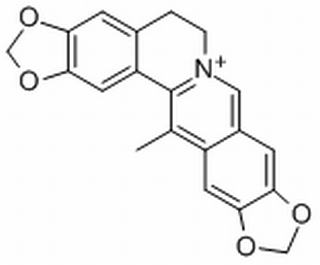 甲基黄连碱