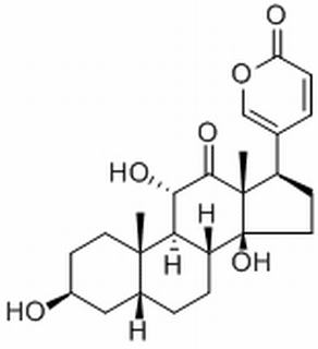 沙蟾毒精