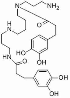 地骨皮乙素