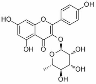 阿福豆苷