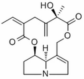 千里光非灵