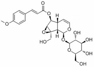 6-O-p-Methoxycinnamoylcatalpol