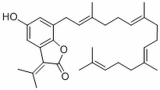 鹽膚木內酯 A