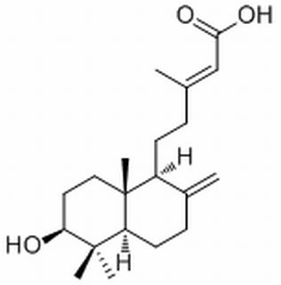 紫背金牛酸