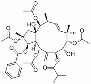 2,5,9,14-四乙酰氧基-3-苯甲酰基氧基-8,15-二羥基