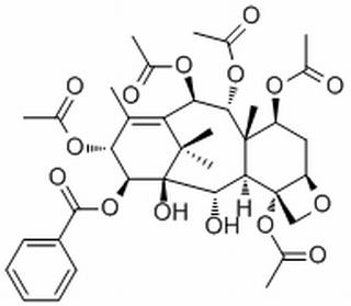 14β-Benzoyloxy-2-deacetylbaccati