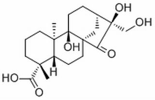 Pterisolic acid F