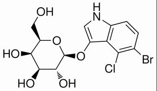 5-溴-4氯-3-吲哚-β-D-半乳糖苷
