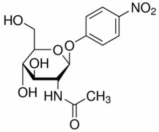 对硝基苯-N-乙酰-β-D-氨基葡萄糖苷