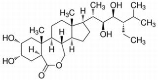 28-表高油菜素内酯